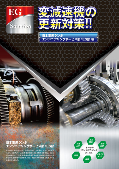 EGSolution